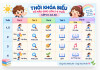 5 6 T lẻ